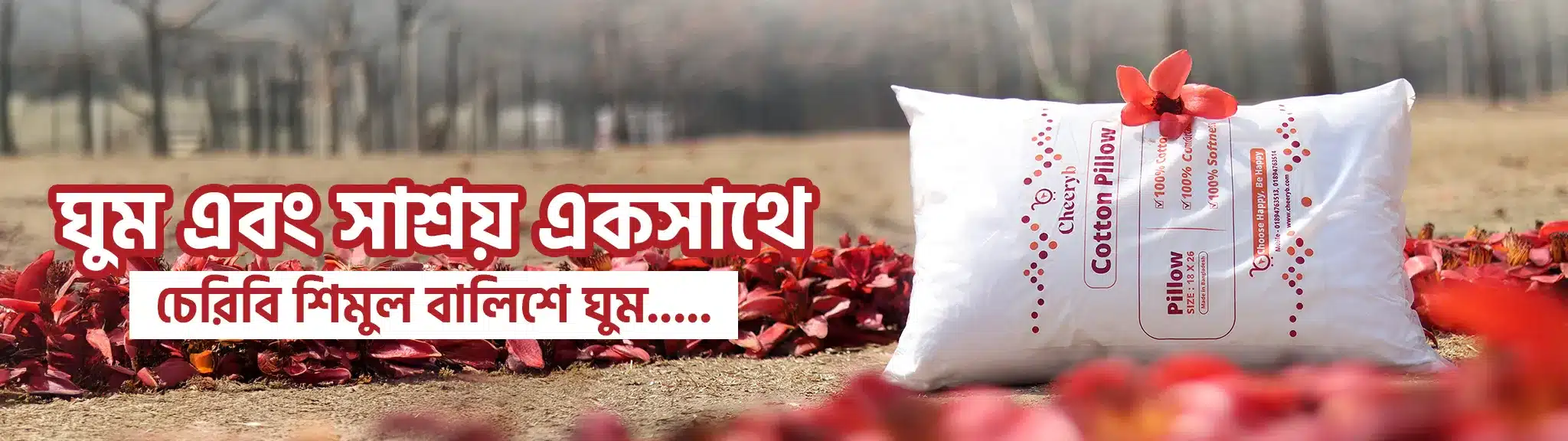 Website-cover-pillow-wide